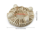 AshTray Skeleton Decoration for Halloween Decor Ideal Gothic Gifts